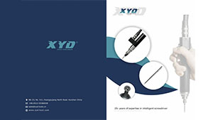 ແຜ່ນພັບຜະລິດຕະພັນ XYD